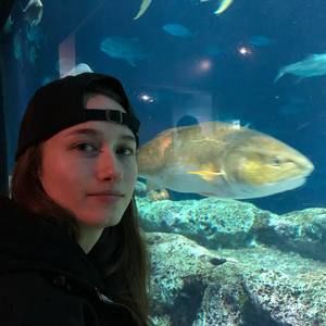 Meet your Posher, Kp